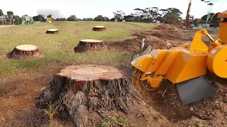 Amazing Dangerous Biggest Stump Removal Equipment Working, Powerful Stump Removal Grinding Excavator