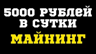 5000 рублей в сутки - сколько нужно видеокарт для такого дохода от майнинга