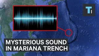 The mysterious sound in the Mariana Trench