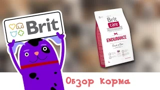 Обзор корма Brit Care Endurance