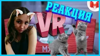 Реакция на "Кошачьи будни (VR)" от Mr. Marmok!! Смотрим цап-царапки с Мармоком))