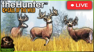 🔴LIVE🔴 100k Subs Today!?!?! HUGE Grinding Stream To Get The Great One Whitetail! Call of the wild
