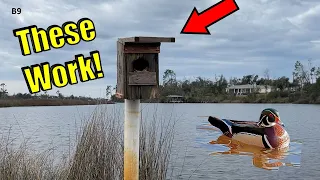 How to Build Nesting Boxes to Attract Wood Ducks