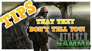 S.T.A.L.K.E.R Anomaly Gamma | Top Tips They Don't Tell You!