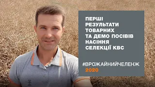 Перші результати товарних та демо посівів насіння селекції КВС у Вінницькій та Житомирській області