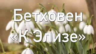 БЕТХОВЕН - К ЭЛИЗЕ (ДУШЕВНОЕ ПРОИЗВЕДЕНИЕ)