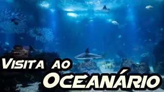 Visita ao Oceanário de Lisboa.