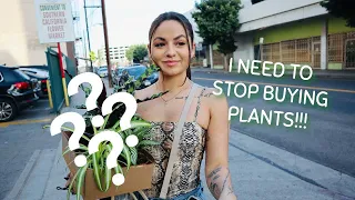 Vlog: My Plant Addiction