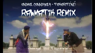 Animal Cannibals - Takarítónő (Rawmatik remix)