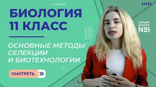 Основные методы селекции и биотехнологии. Видеоурок 10. Биология 11 класс