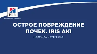 Вебинар №3 школы НЕФРОУРОВЕТ: "Острое повреждение почек. IRIS AKI". Лектор - Надежда Куртицкая.