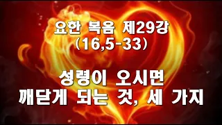 요한 복음 제29강/ 16,5-55/ 성령께서 오시면 깨닫게 되는 것, 세 가지(죄, 의로움, 심판)/ 전삼용 요셉 신부