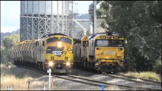 Freight Trains Crossing In NSW Australia Part 2 - 4K