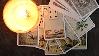 Was erwartet dich in den nächsten 7 Tagen? Tarot Wochen Prognose