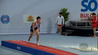 LEHMER Emilio (USA) - 2017 Trampoline Worlds, Sofia (BUL) - Qualification Tumbling Routine 2