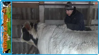 ГЛАЗА БОЯТСЯ РУКИ ДЕЛАЮТ, ЭТО ОКАЗАЛОСЬ ПРОЩЕ...