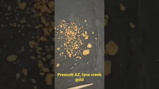 Raw gold nuggets , lots of gold from our trip to lynx creek ! One of the richest gold baring #gold