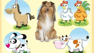 Farm animals of  America. Voices and sounds Mickey’s Farm music for kids