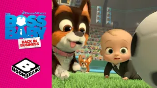 Babies Vs Puppies | The Boss Baby: Back In Business | Boomerang UK