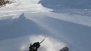 Le Petit Friolin - Freeride La Plagne