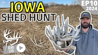 Iowa Shed Hunt