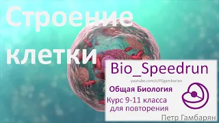 7. Строение клетки (Speedrun общая биология 9-11 класс, ЕГЭ, ОГЭ 2021)