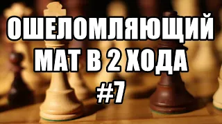 Шахматные задачи мат в 2 хода. Выпуск №7. Решение задач. Шахматы. Мат в два хода. Шахматные заметки.