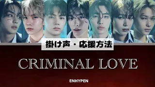 ENHYPEN(엔하이픈) - CRIMINAL LOVE - 【日本語字幕/掛け声/応援方法/パート割り/カナルビ/和訳】