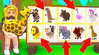 Buying ALL The NEW SAFARI PETS In Adopt Me! (Roblox)