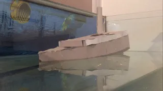 Cardboard boat sinks in aquarium