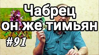 Чабрец он же тимьян. Помогает от пьянства