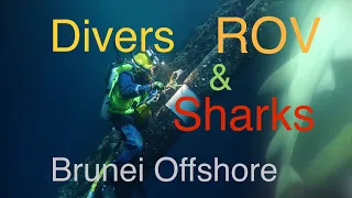 Divers ROV & Sharks @ Brunei offshore (Saturation Diving 2018-19) Kreuz Challenger