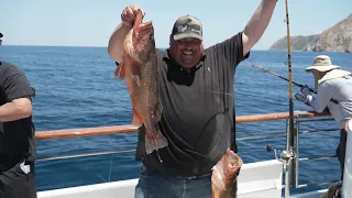 Rock Fish & Calico Bass at Catalina on the Gail Force