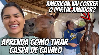 Tarde de beleza dos cavalos | Conheça os animais aqui do haras | Diego quer correr em American