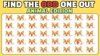 Find the ODD One Out- Animal Edition- Easy, Medium, Hard #puzzles