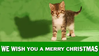 Jingle Cats "We Wish You a Merry Christmas"