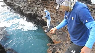 At Dawn Two Fishermen Discover a Pool Full of Fish