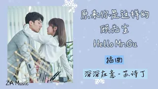 深深在意 - 苏诗丁（《原来你是这样的顾先生 | Hello Mr.Gu》片尾曲）【动态歌词】