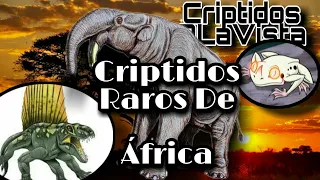 Criptozoología | LOS 5 CRIPTIDOS MÁS EXTRAÑOS REPORTADOS EN  ÁFRICA | Criptidos A La Vista