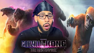 First Time Watching *GODZILLA X KONG: THE NEW EMPIRE (2024) | Movie Reaction