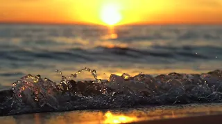 SUNSET WAVES ➤ Ambient Music by Tarqan