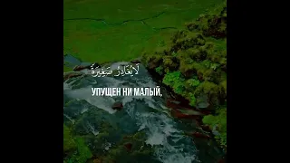 Красивое чтение Мухаммад аль-Люхайдан, Сура 18. Аль-Кахф, аяты 48-49, 2 часть