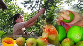 Eating Sour Mangoes With Extremely Spicy King Chilli