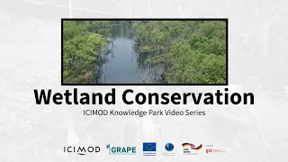 Wetland Conservation