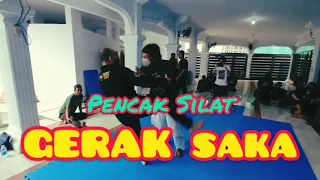 JELAJAH PETARUNG - SILAT GERAK SAKA 2 (COMBAT VING TSUN INDONESIA)