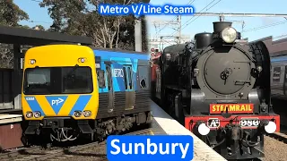 Trains at Sunbury; Metro, V/Line & Steam Trains - Melbourne Transport