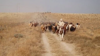 Chico Basin Ranch: A Unique Brand