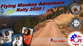 Flying Monkey Adventure UN- Rally 2020