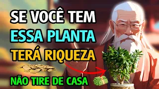 NUNCA TIRE ESTA PLANTA DE CASA  | Atrai DINHEIRO e RIQUEZA 💰