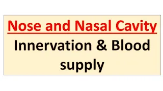 Innervation & Blood supply to Nose & Nasal cavity